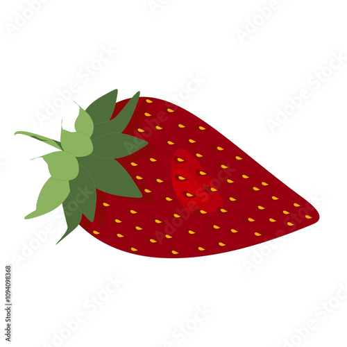 Hand drawn fresh strawberry on a white background