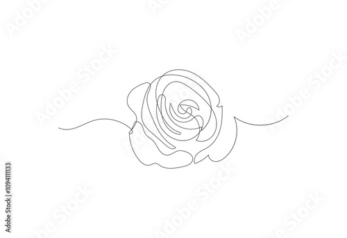 Line art Rose Flower Hand drawn design, Vector design concept