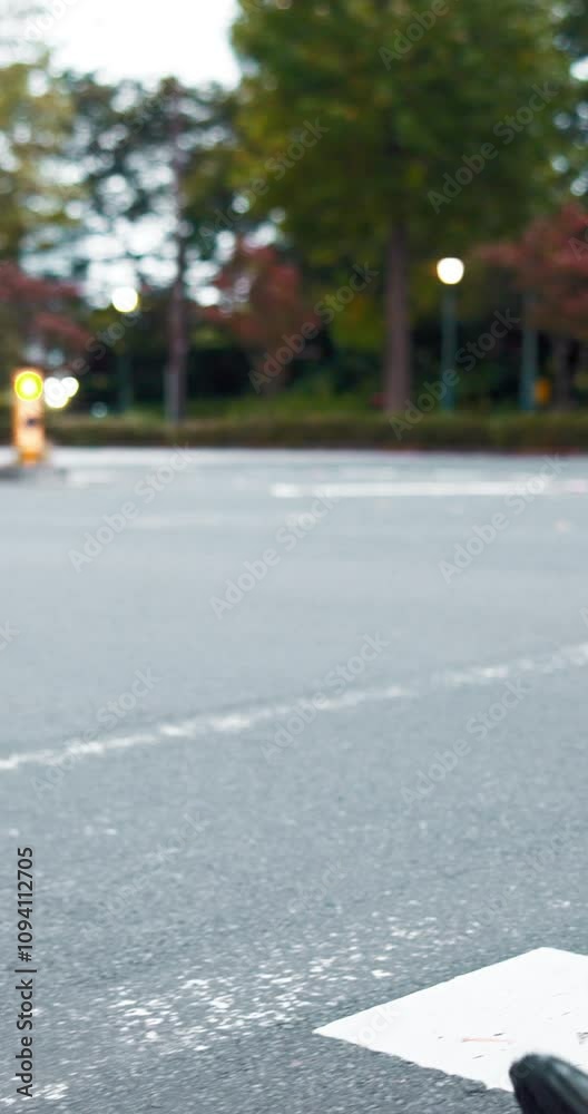 custom made wallpaper toronto digitalLegs, businessman and walking with briefcase at pedestrian crossing for travel, commute or work trip in city. Japan, man or feet with luggage on road or street for career opportunity in an urban town