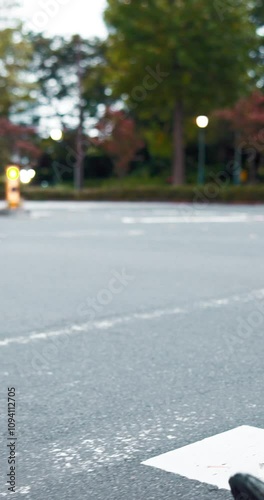 Wallpaper Mural Legs, businessman and walking with briefcase at pedestrian crossing for travel, commute or work trip in city. Japan, man or feet with luggage on road or street for career opportunity in an urban town Torontodigital.ca