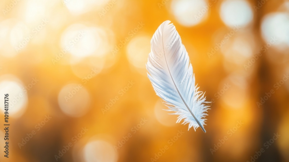 Naklejka premium Delicate White Feather Suspended in Air with Soft Focus Background of Golden Autumn Light Creating an Ethereal and Dreamy Atmosphere