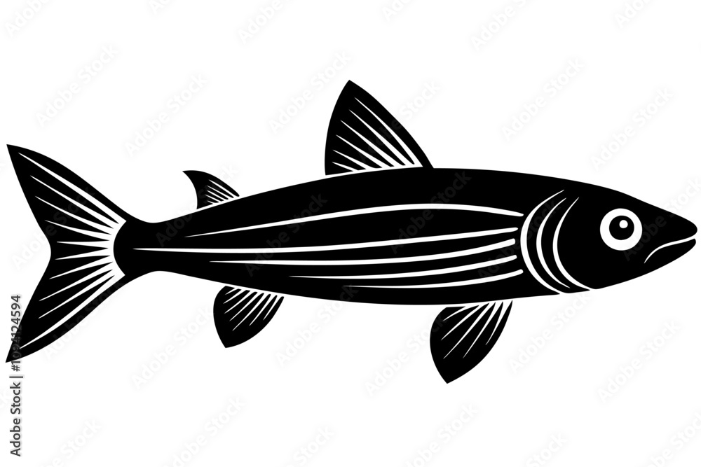 fish isolated on white fish isolated on white