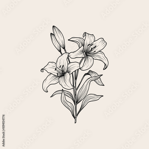 Hand drawn lily branch illustration