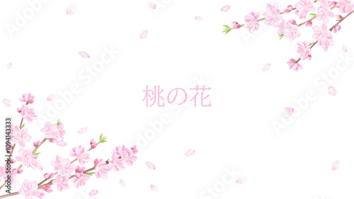 水彩で描いた桃の花の背景