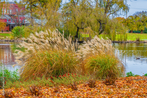 Castlemaine Botanical Gardens in late Autumn photo