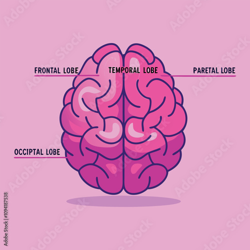 Brain Cartoon Education Object Concept Isolated Flat Vector Icon Illustration