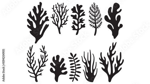 Abstract Algae seaweed shapes. Seaweed big set in silhouette style. Collection of black underwater plants