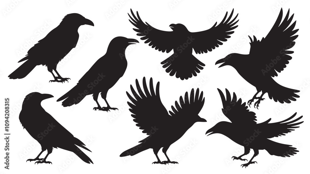 vector silhouette of a crow