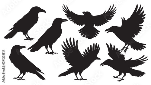 vector silhouette of a crow