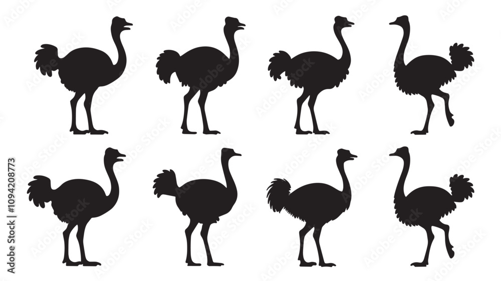 Obraz premium silhouettes of ostriches on a white background
