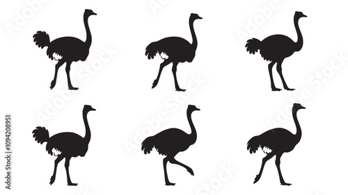 silhouettes of ostriches on a white background
