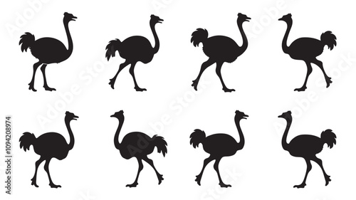 silhouettes of ostriches on a white background
