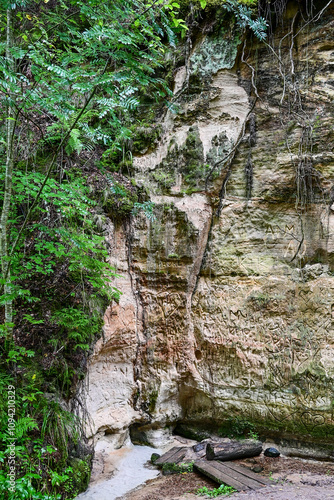 The sandstone cliffs of Hinni gorge, hinni kanjon, a 20 metre deep gorge with green trees and sandstone cliffs, sandstone gorges near Rouge, Võru, Voru, Estonia photo