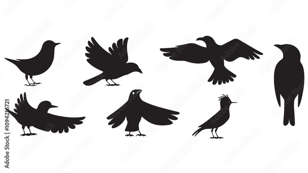 Obraz premium silhouettes of birds