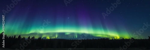 The aurora borealis illuminates the night sky above a tranquil forest casting an eerie yet beautiful light on the surrounding landscape, northern lights, aurora, natural wonder