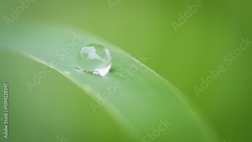 Dewdrop on Green Leaf - Nature Close-Up for Tranquil Concepts