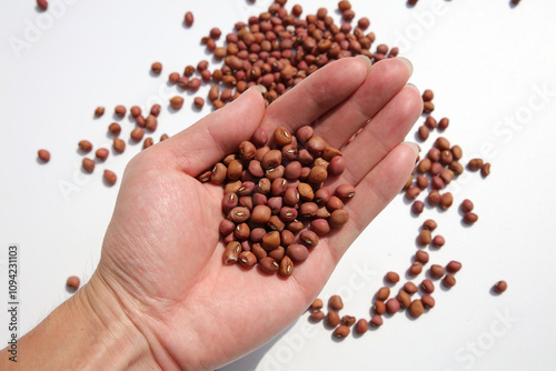 Holding a handful of beans in one hand