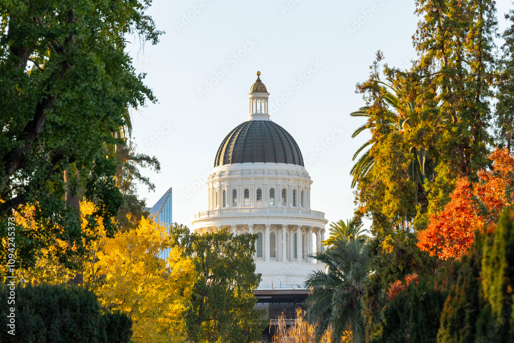 capitol, capital, state, cali, California, state capital, 916, Sacramento, sac, sac state, abc10, tower bridge, newsmen, trump, democrts, farm to fork, cathedral, dome, church, architecture, building,