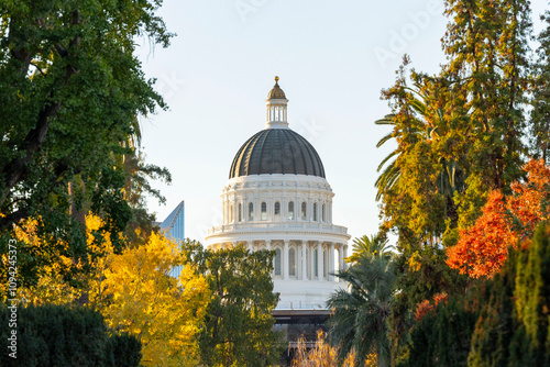 Obraz na płótnie capitol, capital, state, cali, California, state capital, 916, Sacramento, sac, sac state, abc10, tower bridge, newsmen, trump, democrts, farm to fork, cathedral, dome, church, architecture, building, w salonie