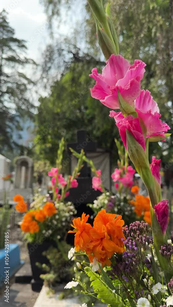 Vibrant gladiola flowers in a cemetery during Mexico's Day of the Dead celebrations Vibrant gladiola flowers in a cemetery during Mexico's Day of the Dead celebrations
