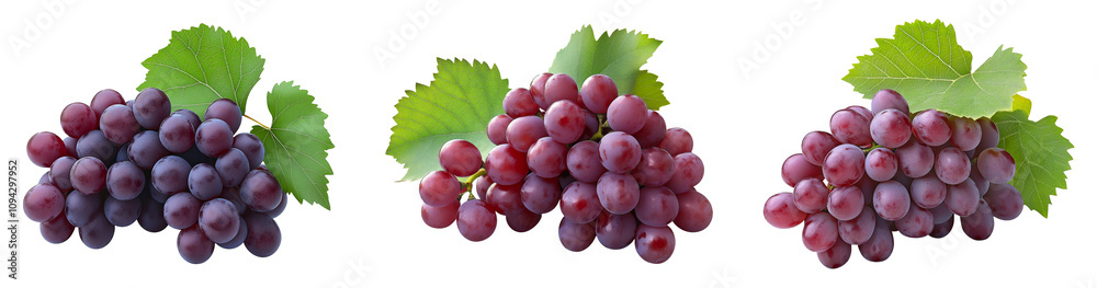 Fototapeta premium Red grape with leaves on white, Bunch of fresh red juicy grapes on white, With clipping path.