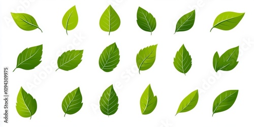 Green Leaf Icon Set for Natural Eco Design, Vegetarian Labels, Organic Gardening, and Environmental Resources