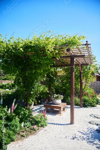 A garden with a wooden pergola and a bench under it. The garden is full of flowers and plants