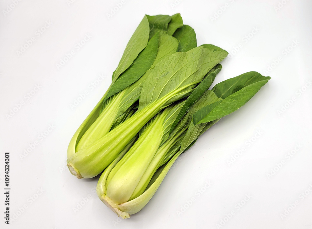 チンゲンサイ・青梗菜・チンゲン菜・ちんげんさい／bok choy／청경채