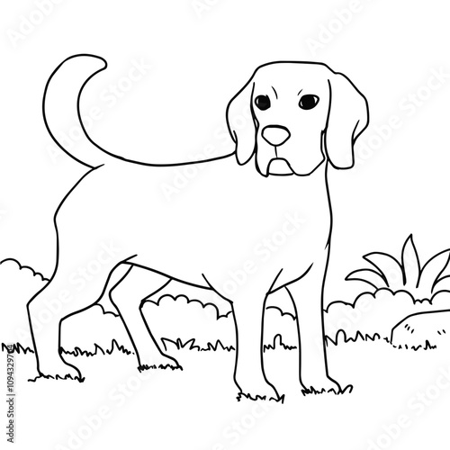 Dog Coloring Book