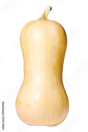 Long pumpkin on a white background.