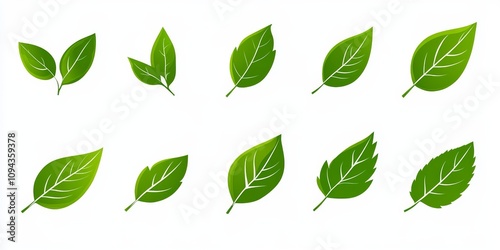 Green Leaf Icon Set Collection for Natural Eco Vegan Bio Design