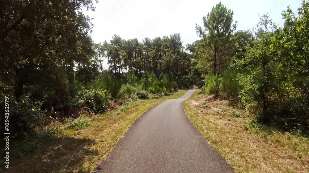 Fahrradweg durch sonnigen Kiefernwald an der Atlantikküste in Frankreich, Sport, Straße, Ziel, Sommer, Urlaub, Radtour, Fitness, Landschaft 
