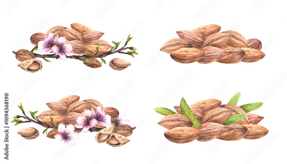 Almond nuts pile with spring tree blooming branch with leaves and flowers. Botanical composition set. Watercolor illustration hand painted. Clipart for food, cosmetic label Isolated from background Almond nuts pile with spring tree blooming branch with leaves and flowers. Botanical composition set. Watercolor illustration hand painted. Clipart for food, cosmetic label Isolated from background