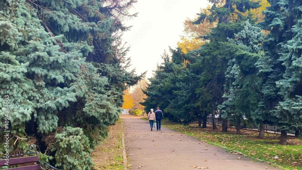 Two People Walking in a Park on a Relaxing Day Two People Walking in a Park on a Relaxing Day