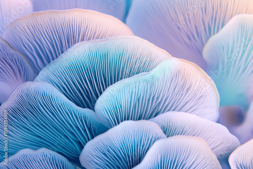 Pastel blue and pink neon glowing light mushroom texture background. Closeup macro view pattern for design.  photo