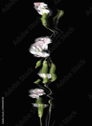 Pink carnation or clove pink vertical scan background. Scanned blooming spring flower bouquet. Glitchy abstract strongly distorted plant. Colourful botanical photocopy with scanner noise effect.