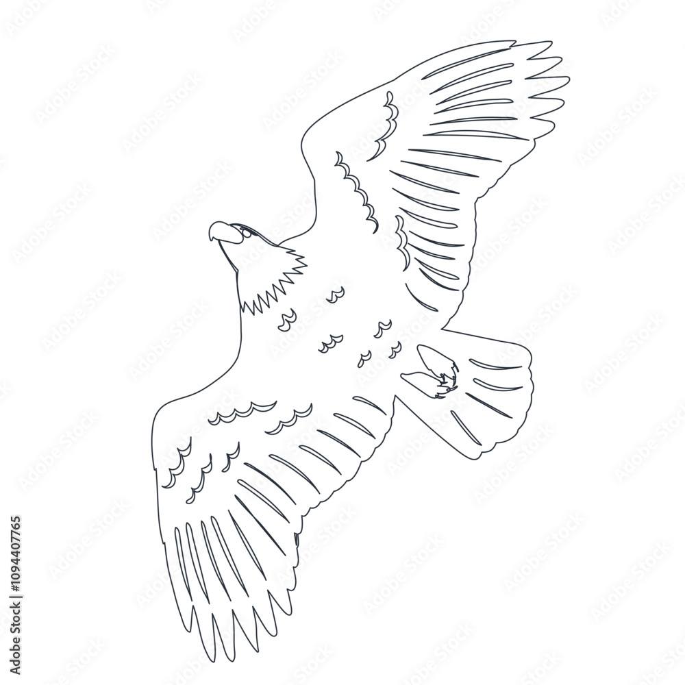 Obraz premium flying bird sketch, outline, vector
