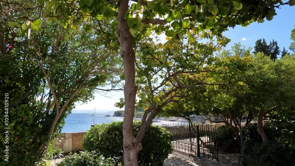 Relaxing seaside view of Corfu, Greece with lush greenery and calm waters in the afternoon sun Relaxing seaside view of Corfu, Greece with lush greenery and calm waters in the afternoon sun
