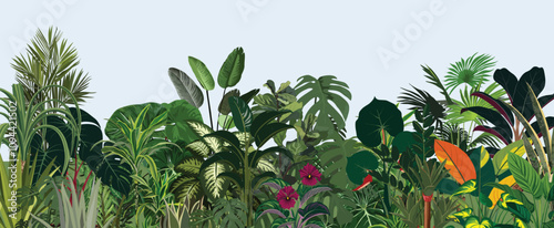 Nature background. Tropical green leaves, exotic plants, flowers, botanical border, floral banner, card design. Leaf greenery, lush garden, wild thickets, botany pattern. Flat vector illustration