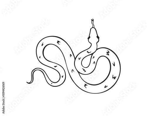 Hand drawn doodle snake top view icon. Outline drawing isolated snake on white background.