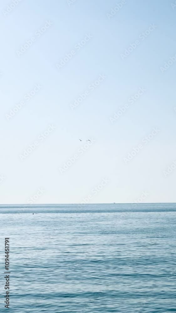 Two seagulls flying in a clear sky over the coastline, capturing the freedom and serenity of a peaceful seaside scene. Two seagulls flying in a clear sky over the coastline, capturing the freedom and serenity of a peaceful seaside scene.