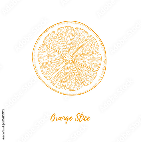 Vector orange slice line art illustration, graphic line art. Fruit for mulled wine. Dried orange. Elegant line botanical illustration. Great for any designs, textile, art, walls, package
