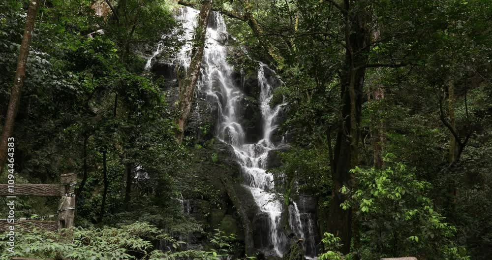 Hidden beautiful jungle waterfall at a rocky wall in the deep rainforest jungle in Rincon de la Vieja, Costa Rica. Hidden beautiful jungle waterfall at a rocky wall in the deep rainforest jungle in Rincon de la Vieja, Costa Rica.