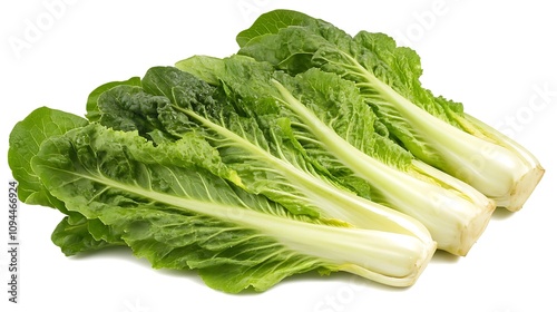 Fresh Green Bok Choy Vegetables Isolated on White Background. AI Generated