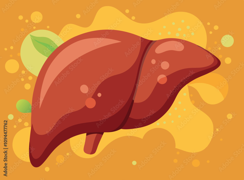 Healthy human liver promoting wellness and organ health Healthy human liver promoting wellness and organ health