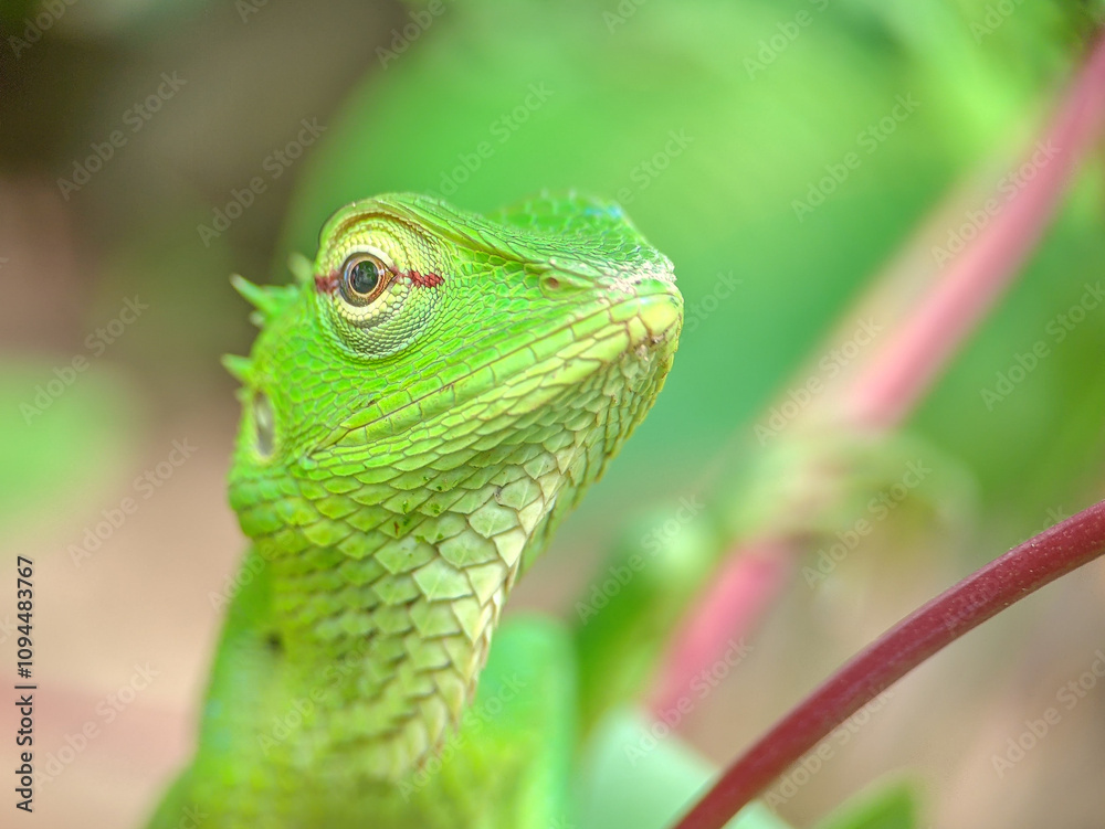 Naklejka premium Vibrant Green Lizard Among Foliage