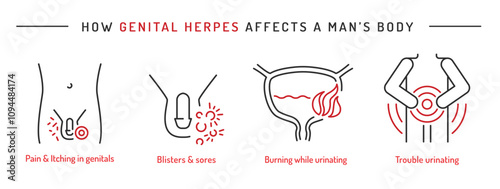 How genital herpes affects a man body.