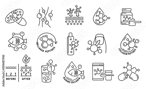 Collagen line icons set. Connective tissue protein pictogram.