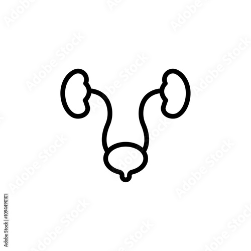 Urinary system icon Black and white outline vector