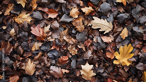 Autumn Leaves Blanket the Forest Floor. AI Generated